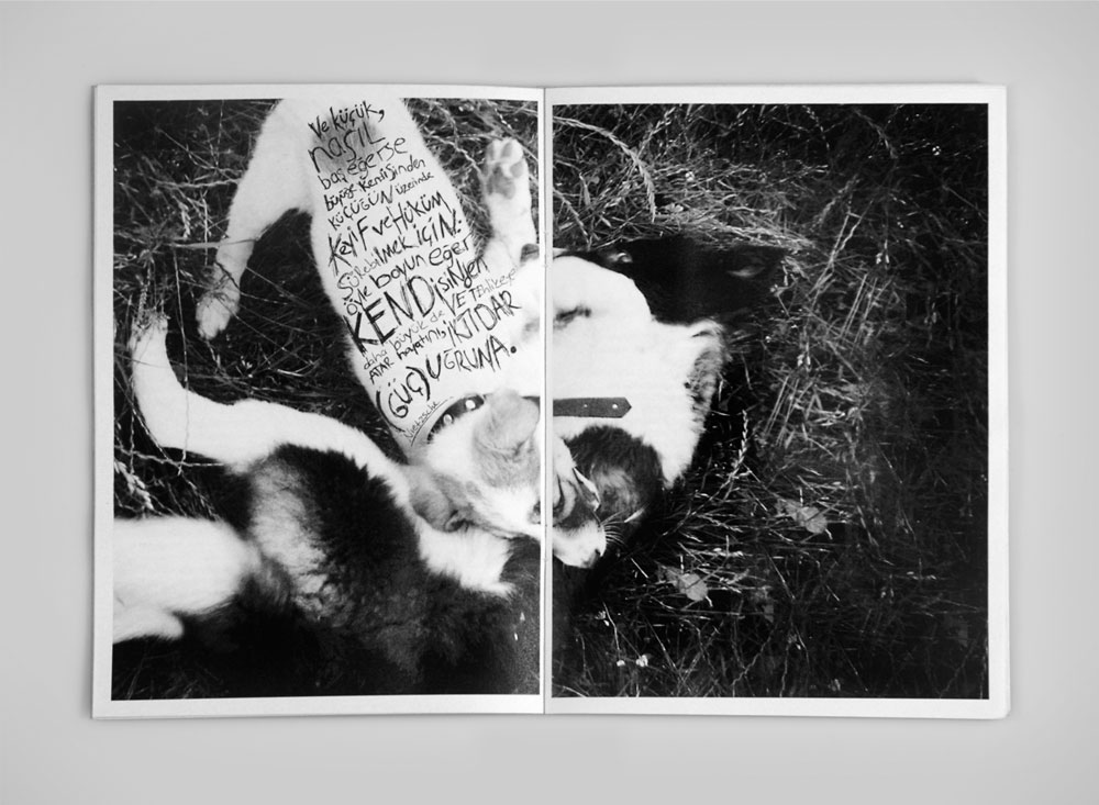 Seyyar sesler içerik 2