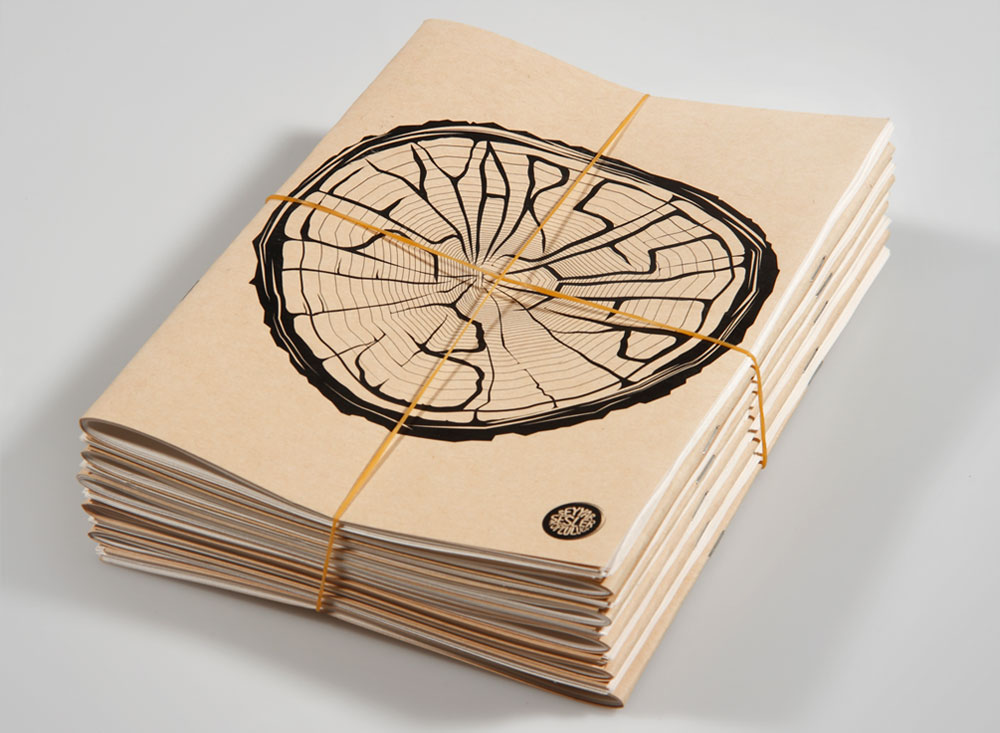 Seyyar sesler kapak 3